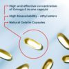 NFO Omega-3 1000 MG - Image 3