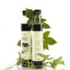 Carob Syrup Black Essence